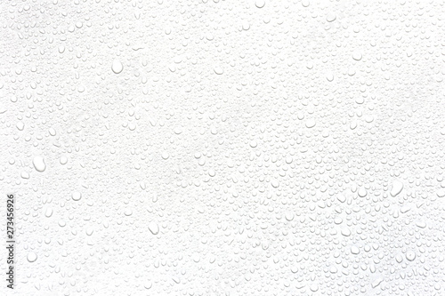 Water rain drops isolated on white background. photo