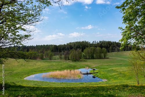 Fototapeta Naklejka Na Ścianę i Meble -  Mazury Garbate 14