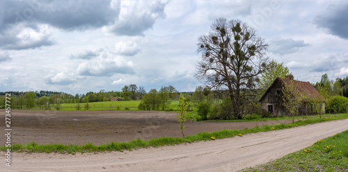 Fototapeta Naklejka Na Ścianę i Meble -  Mazury Garbate 12