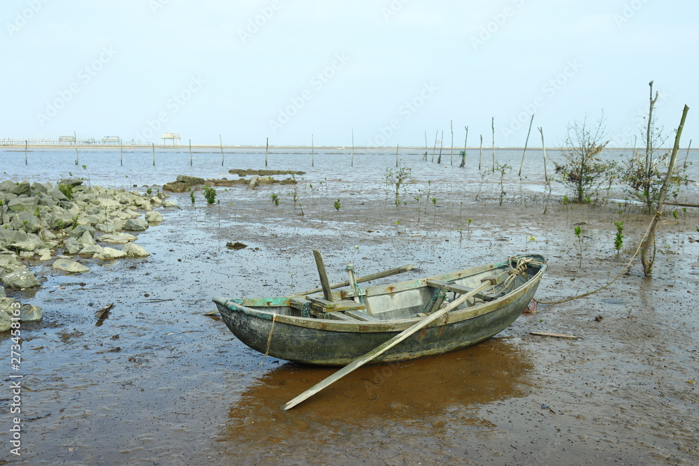 Coastal clam farm in Thai Binh province, Vietnam