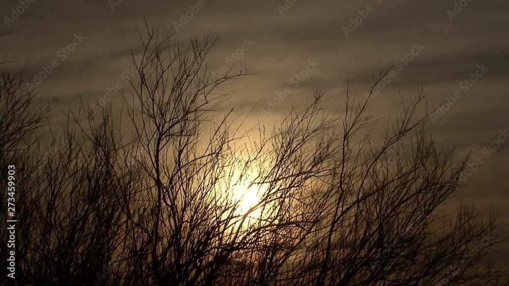 Kazakhstan. Plateau Ustyurt. Sunset in the steppe. Clouds Kazakhstan. Plateau Ustyurt. Sunset in the steppe. Clouds