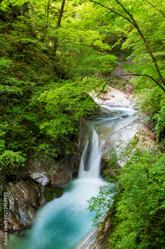 新緑の西沢渓谷