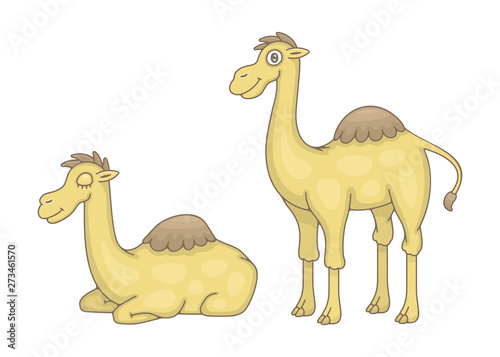 Set of Camels. isolated on white background