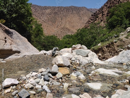 Atlas mountains located in trophical Africa - Morocco. photo