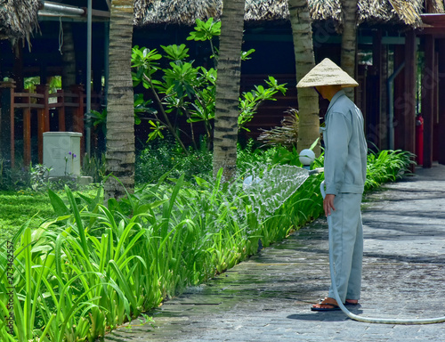 Obraz na płótnie A gardener in overalls and a bamboo hat is hosing off tropical plants on hotel site. w salonie