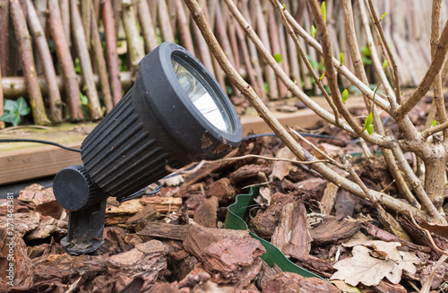 A small modern LED garden lamp, put in the ground of a flowerbed, filled with bark mulch. Lamp will illuminate a hydrangea plant which is beginning to grow at springtime.