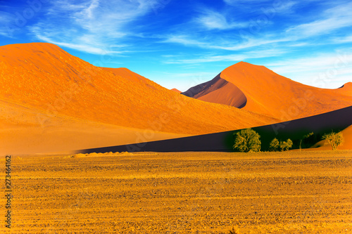 Dunes of the Namib desert