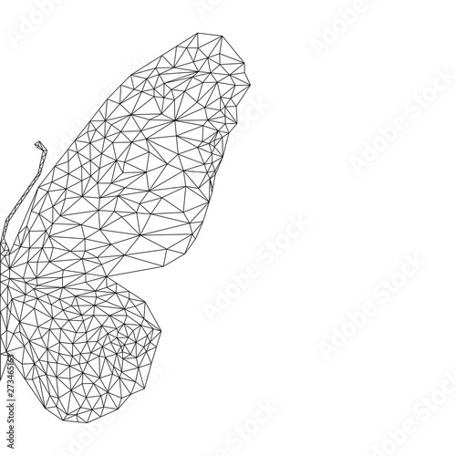 фотографія Symmetrical crystal illustration butterfly in geometry triangle style