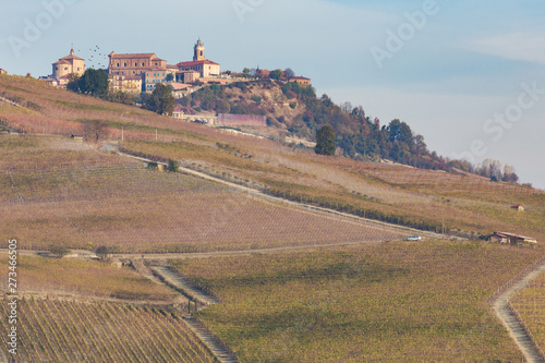 Barolo town and vineyards, Langhe, Piedmont, Italy
