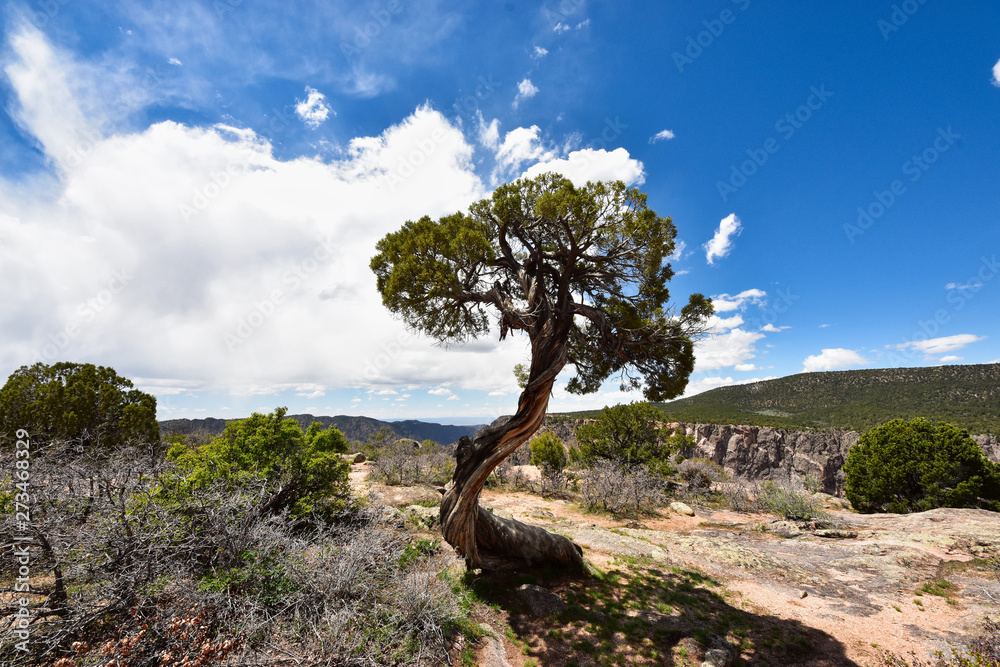 Black Canyon of the Gunnison National Park Black Canyon of the Gunnison National Park