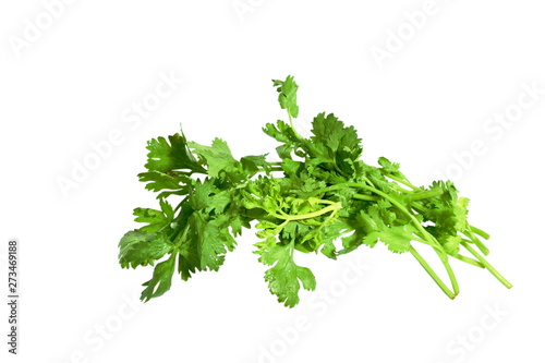 fresh parsley with drop of water on white background