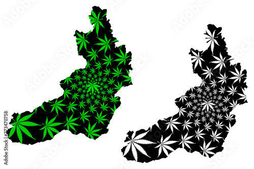 Zabaykalsky Krai (Russia, Subjects of the Russian Federation, Krais of Russia) map is designed cannabis leaf green and black, Zabaykalsky Krai map made of marijuana (marihuana,THC) foliage....