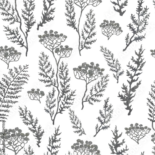 Vector seamless background with hand drawn illustration of herbs  plants and flowers. Can be used for wallpaper  pattern fills  web page  surface textures  textile print  wrapping paper