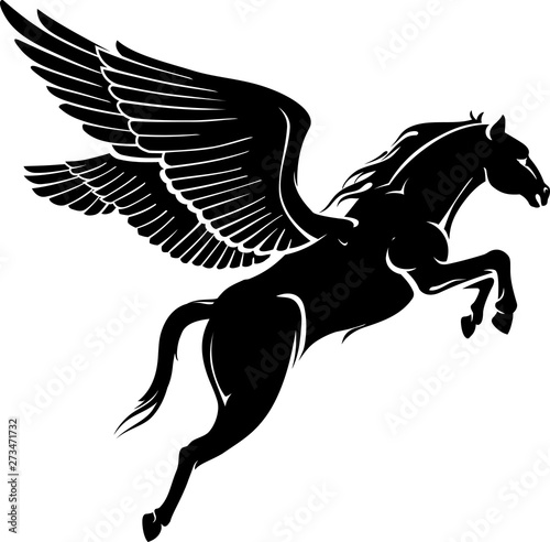 Fototapeta Naklejka Na Ścianę i Meble -  Pegasus Leap Take Off