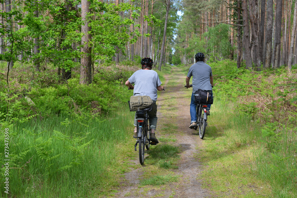 Naklejka premium Rad fahren im Wald