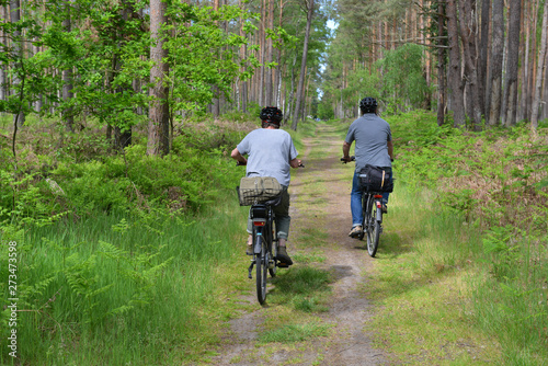 Rad fahren im Wald 