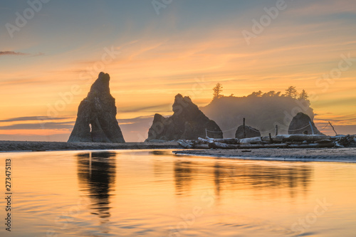 Olympic National Park, Washington, USA at Rialto Beach.