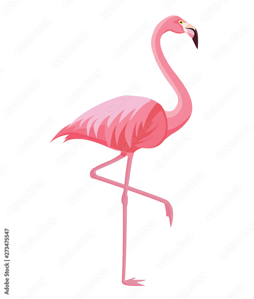 Pink flamingo on a white background. Vector illustration. - obrazy, fototapety, plakaty 