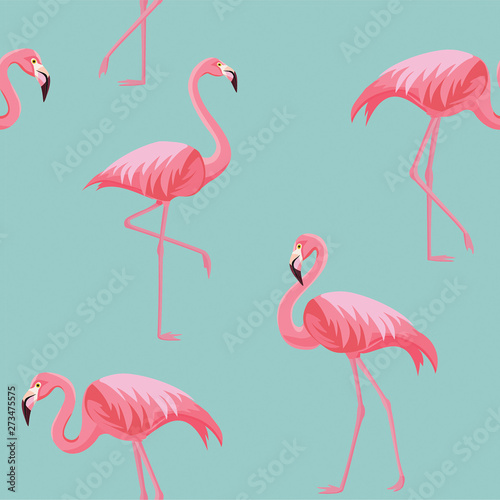 Flamingo pattern. Vector seamless texture.