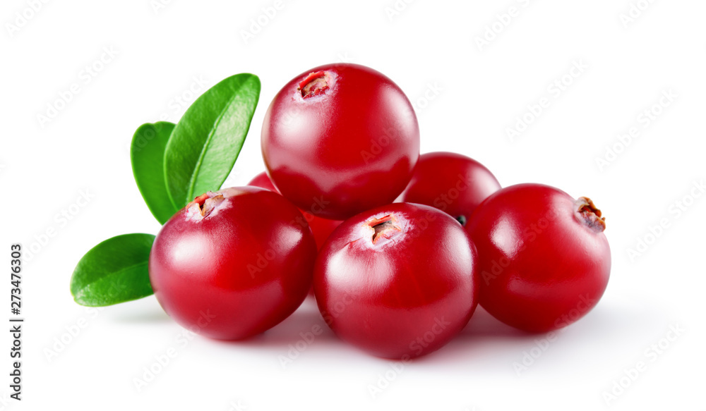 Cranberry with leaves. Cranberries isolated on white. Full depth of field. Cranberry with leaves. Cranberries isolated on white. Full depth of field.