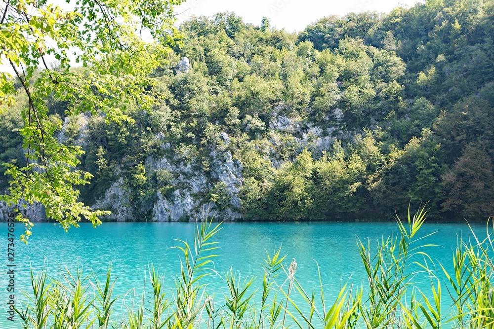 Turquoise pure water lakes at Plitvice National Park, Croatia