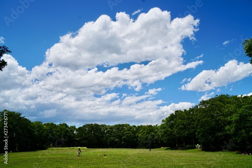 白雲