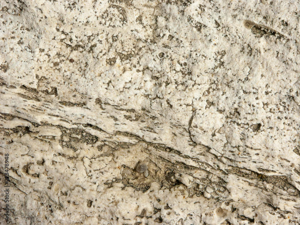 Typical detail of an ancient wall of an Italian house in Rimini, on the Adriatic coast, made of hand-carved stones. Typical detail of an ancient wall of an Italian house in Rimini, on the Adriatic coast, made of hand-carved stones.