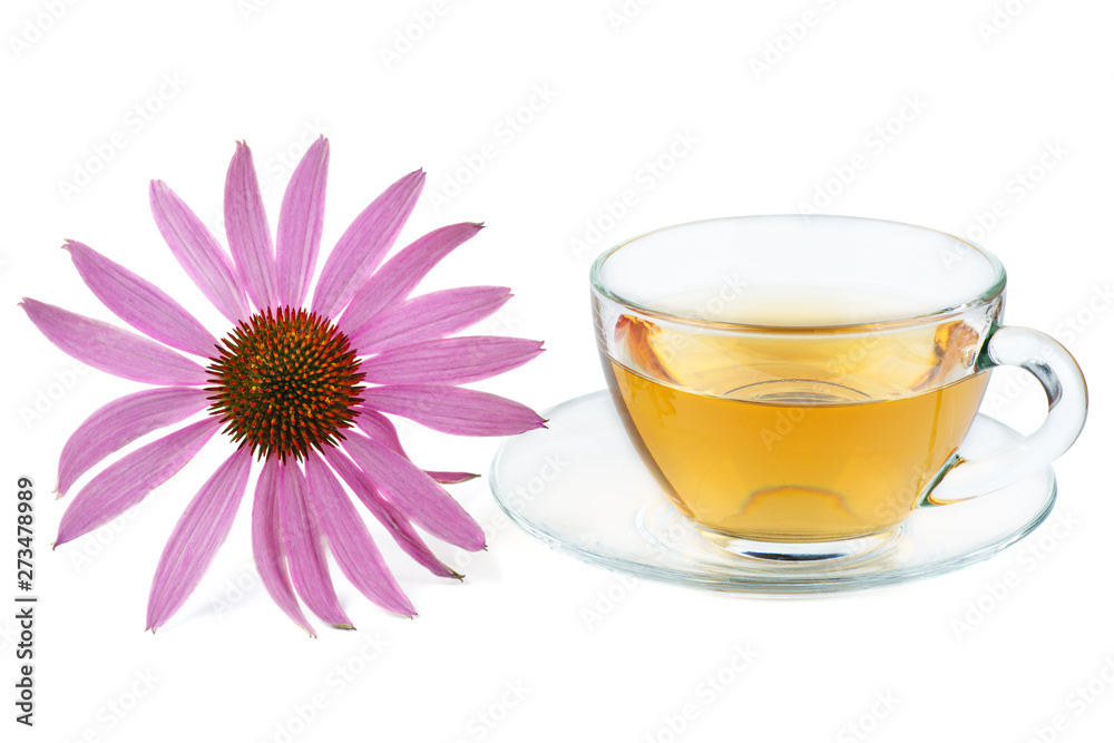 Cup of herbal tea and echinacea flower isolated on white backgrounds Cup of herbal tea and echinacea flower isolated on white backgrounds