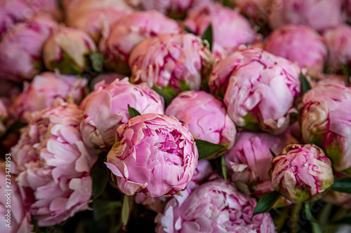 A full frame photograph of beautiful pink peonies for sale on a market stall