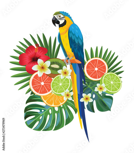 Parrot with tropical leaves and fruits. Vector illustration.