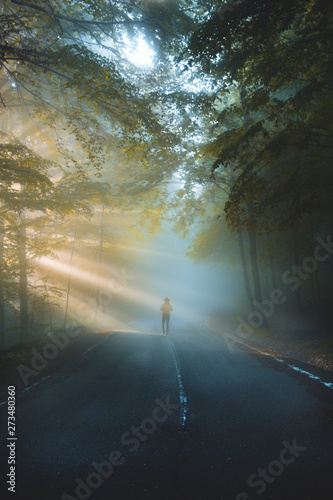 Male hiker walking into the bright gold rays of light in the autumn forest, landscape shot with amazing dramatic lighting mood