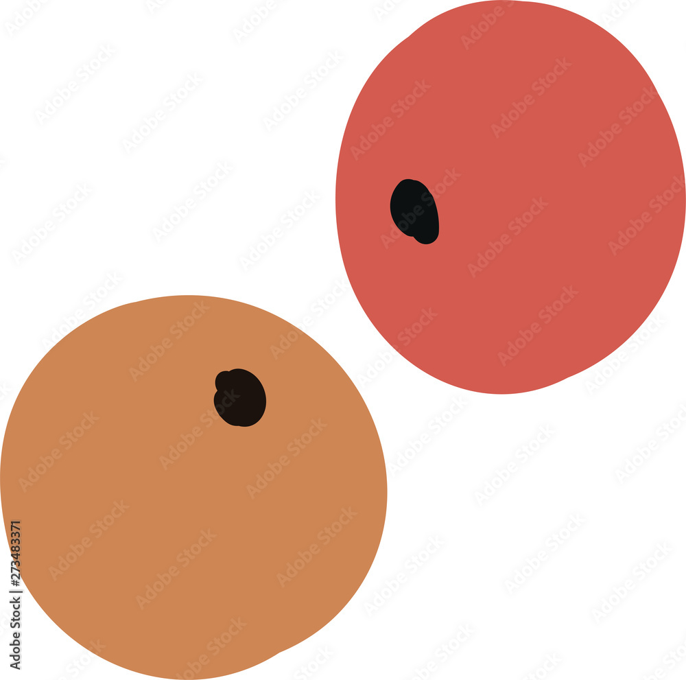 Fototapeta premium Flat modern floral foliage illustration on the white isolated background. Abstract shapes.