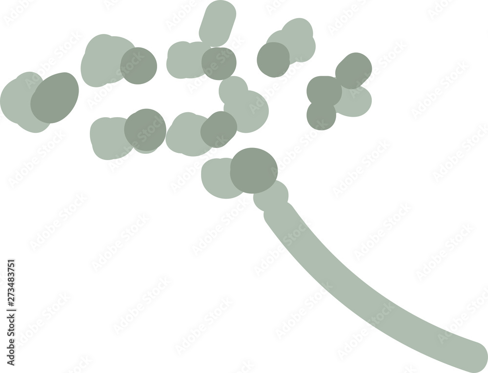 Flat modern floral foliage illustration on the white isolated background. Abstract shapes. Flat modern floral foliage illustration on the white isolated background. Abstract shapes.