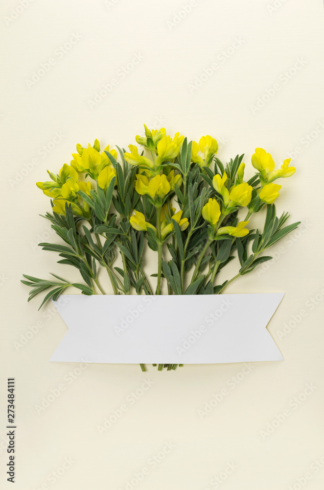 Flower composition made with meadow yellow flowers on pastel beige background with ribbon copy space. Creative minimalist concept. Flat lay.