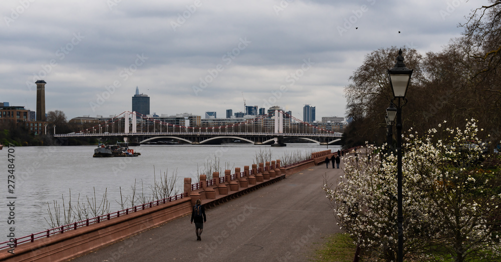 London - Chelsea Bridge - March 20, 2019