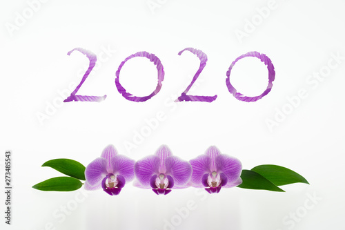 2020 number with purple orchids isolated on white background