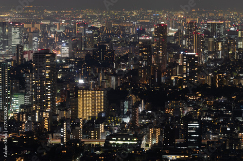 Night cityscape of beautiful Tokio city. Landscape of night city from Above