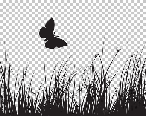 Meadow silhouette
