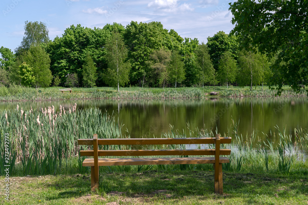 Деревянная скамейка на берегу пруда. Летний день.