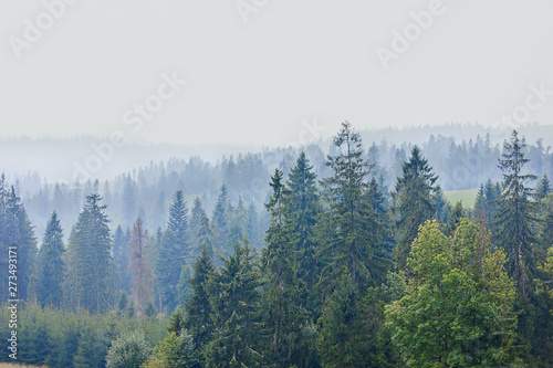 landscape with mountains and misty forest. Fog in the forest after the rain. Poland, Pieniny Mountains