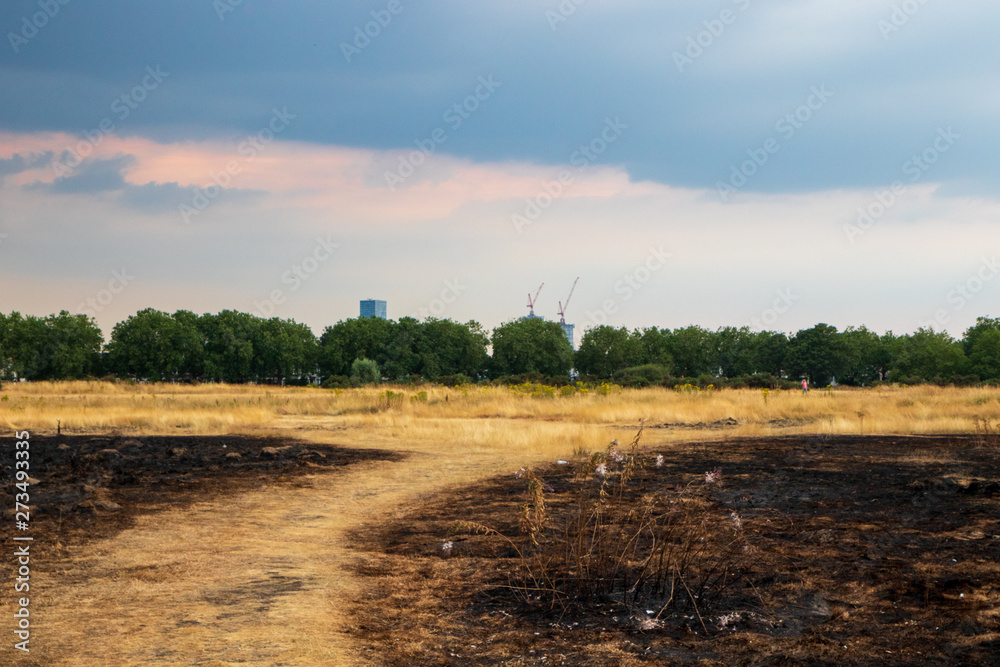 Fototapeta premium Wanstead flats after the fire