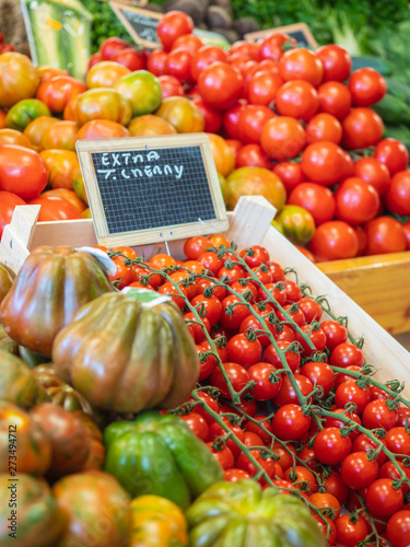 several types of tomatoes on the shelf of a fruit store