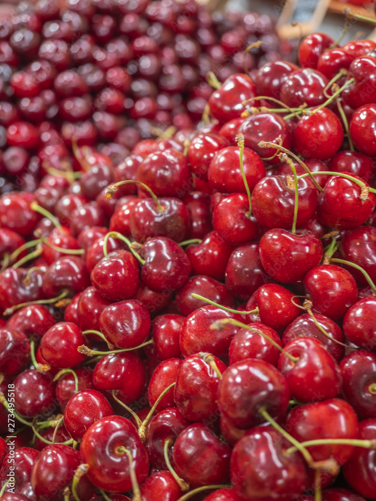 bunch of ripe red cherries on fruit rack bunch of ripe red cherries on fruit rack