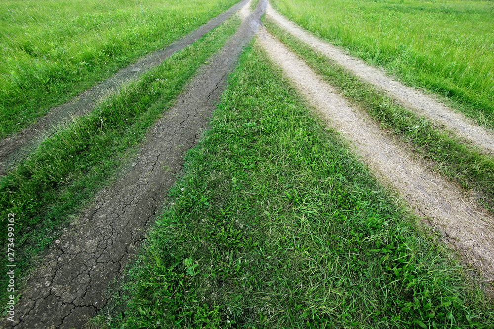 view of the field with green grass and dirt road view of the field with green grass and dirt road