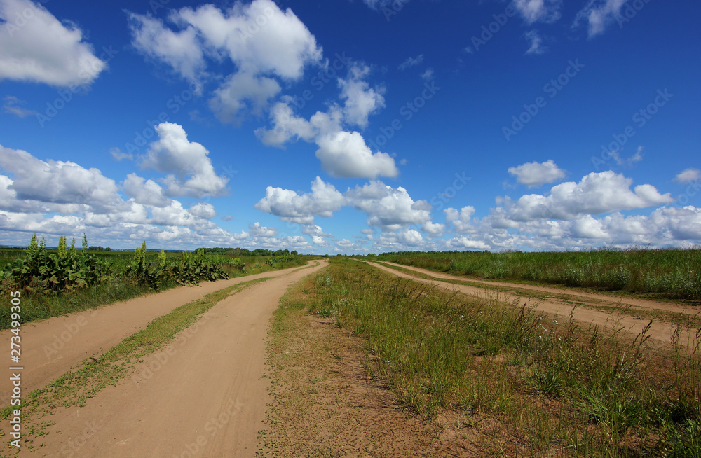 dirt road in a wide field with green grass against a blue sky with clouds on the horizon