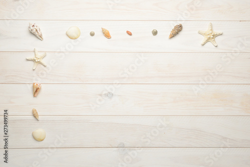 Conchas, estrellas de mar y caracolas marinas sobre fondo de madera blanca