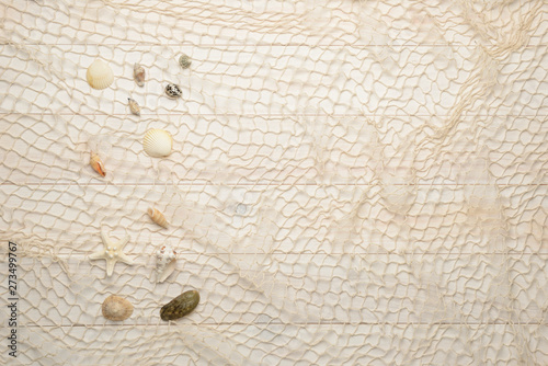 Conchas, estrella de mar y caracolas marinos sobre fondo de madera blanca con red de pescar