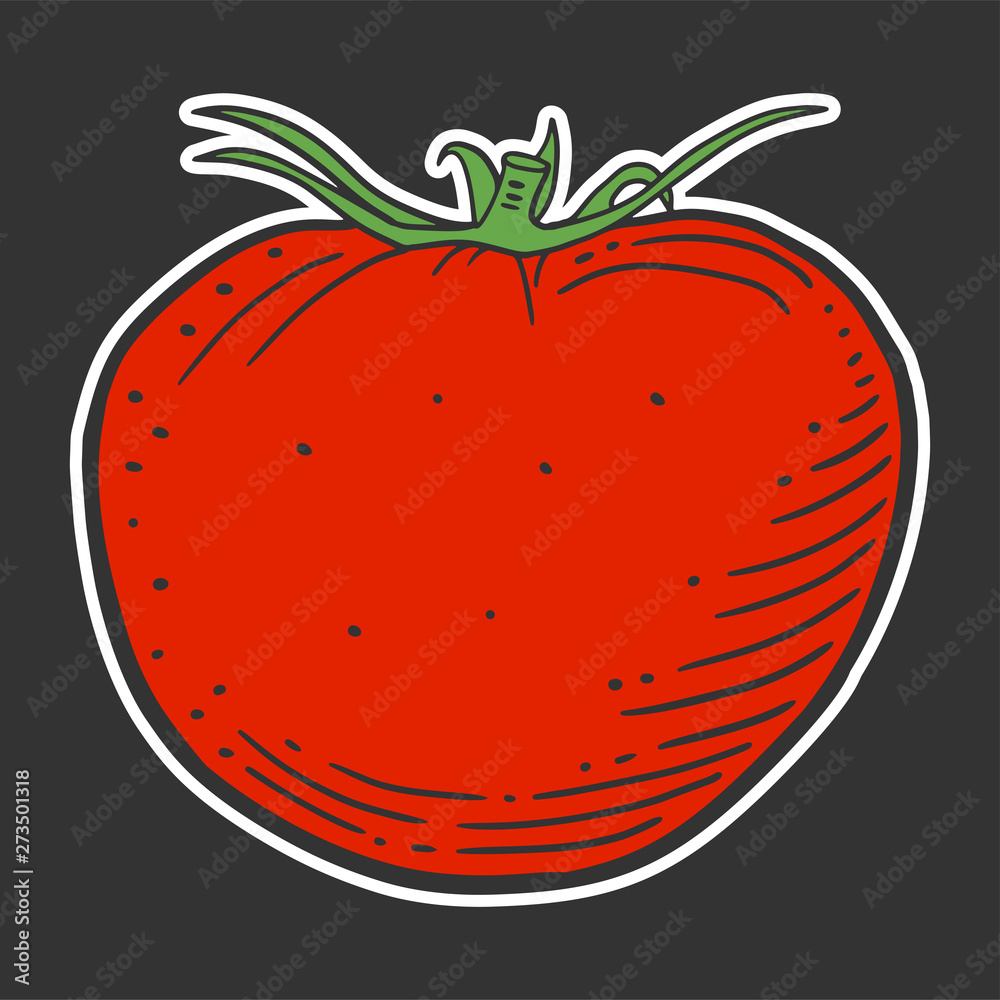 Ripe tomato. Vector concept in doodle and sketch style. Ripe tomato. Vector concept in doodle and sketch style.