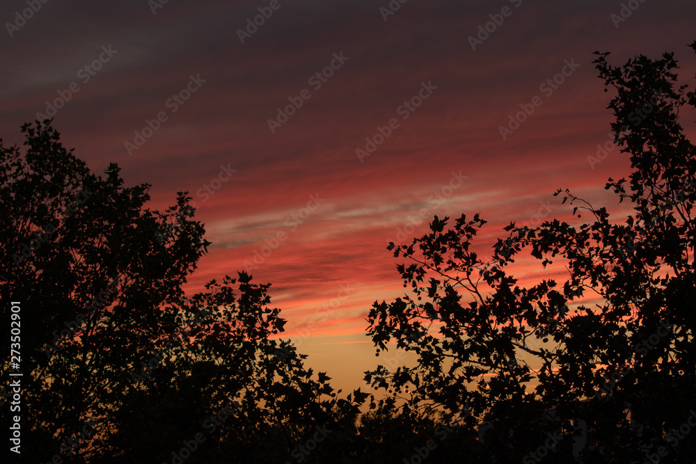 London sunset