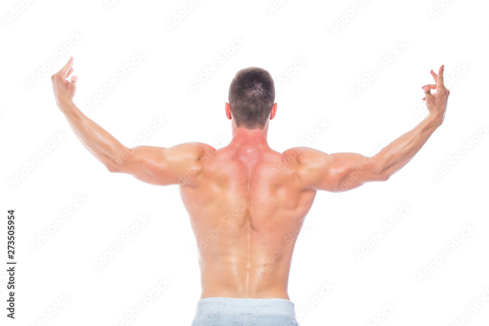 Powerful back. Strong Athletic Man - Fitness Model showing his perfect body isolated on white background with copyspace. Bodybuilder man with perfect abs, shoulders,biceps, triceps and chest.
